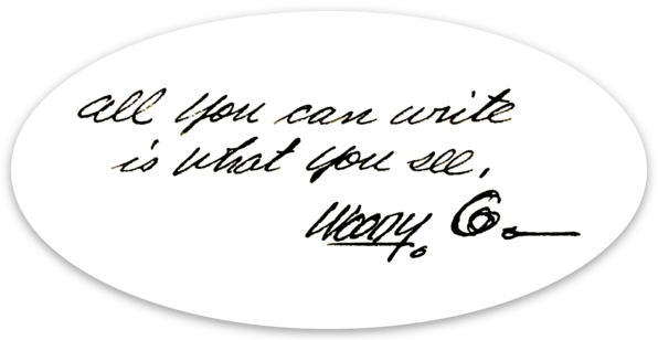 All You Can Write Is What You See sticker set – The Woody Guthrie Store